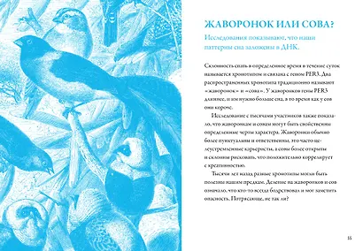 Маленькая книга хорошего сна. Для счастливого, энергичного и успешного дня - фото 7