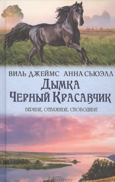 Дымка. Черный Красавчик - фото 1