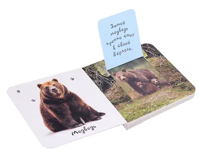 Шоубокс "Мир в картинках" Комплект из 6 книг - фото 3