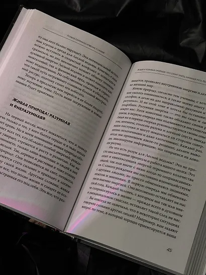 Секреты лесной ведьмы. Фамильяры, магия стихий, растений и камней. - фото 10