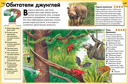 Обо всём на свете в вопросах и ответах. Энциклопедия - фото 6