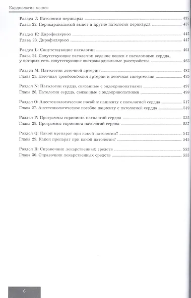Кардиология кошек - фото 3