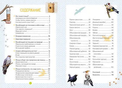 Птицы - фото 4