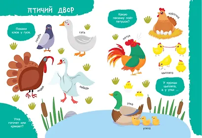 Моя первая книга о животных - фото 5