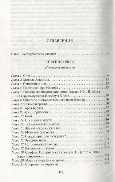 Княгиня Ольга: исторический роман - фото 2