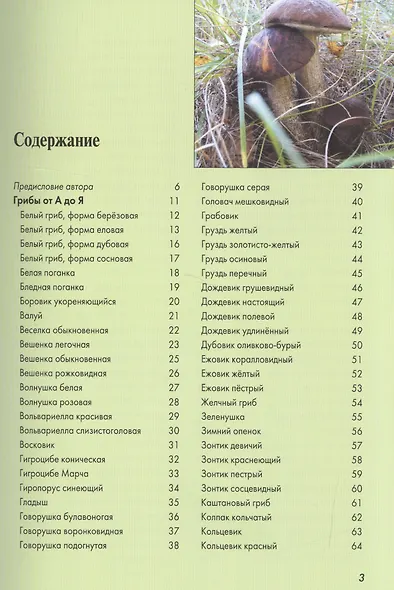 Атлас-определитель.Грибы средней полосы России - фото 2