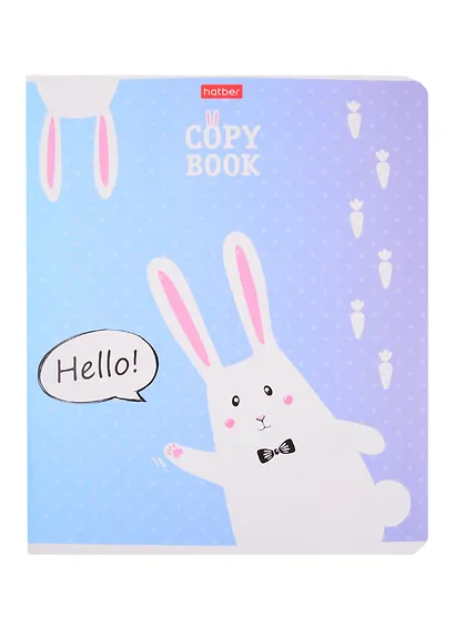 Тетрадь в клетку Hatber, "Прикольные зайцы", 18 листов, в ассортименте - фото 4