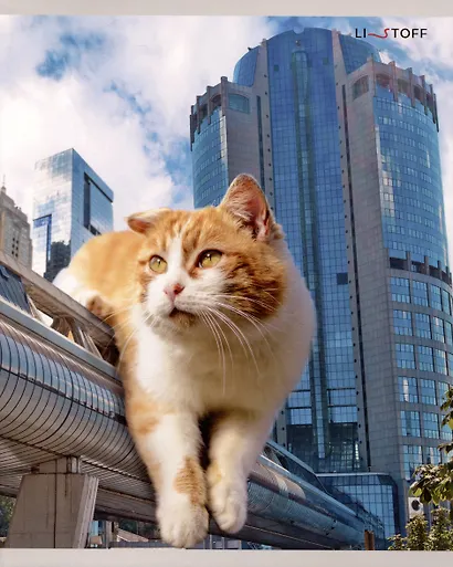 Тетрадь 48л лин. "Большие коты" мел.картон, поля, ассорти - фото 4