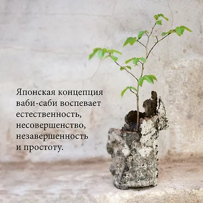 Wabi Sabi. Глоток счастья по-японски - фото 6