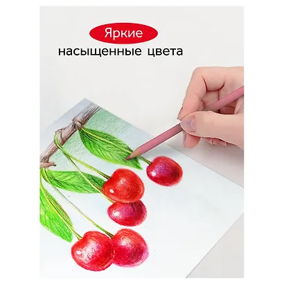 Карандаши цветные 12 цветов, квадратные, заточенные., в металлическом пенале, Гамма - фото 7