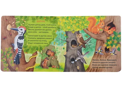 Удивительные дома животных. Книжки-картонки - фото 4