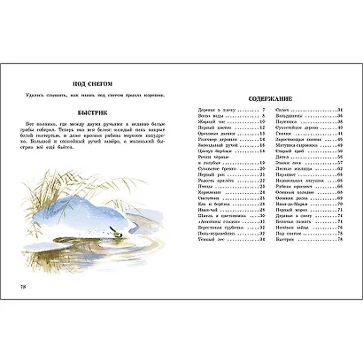 Беличья память - фото 5