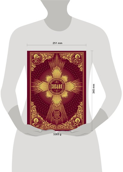 Библия. Книги Священного Писания Ветхого и Нового Завета. 500 гравюр европейских художников и цветны - фото 4