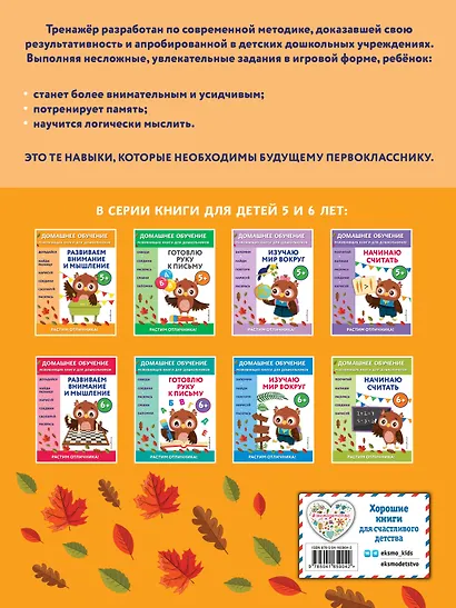 Развиваем внимание и мышление: для детей от 5 лет - фото 2