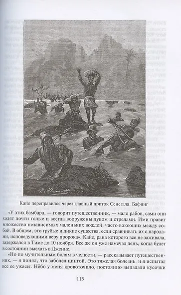 Путешественники XIX века - фото 7