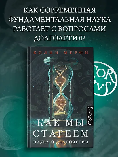 Как мы стареем - фото 3