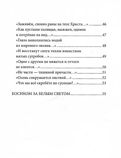 Небесный почтальон - фото 5