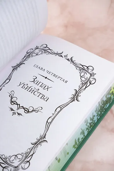 Легенда о разорении династий. Книга 1. Снег и туман - фото 13