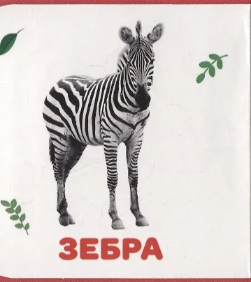 Дикие животные - фото 5