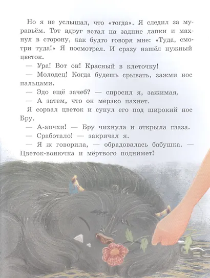 Лохматым и зубастым не входить! - фото 5