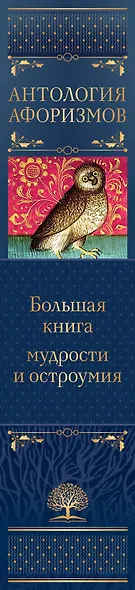 Большая книга мудрости и остроумия - фото 9