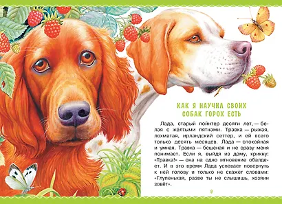 Рассказы - фото 10