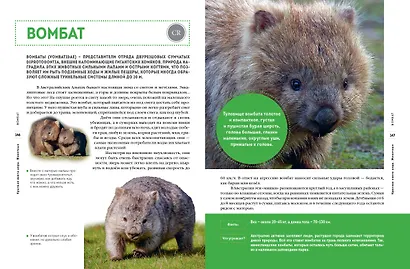 Красная книга мира. Животные - фото 11