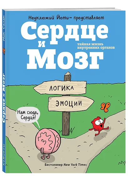 Сердце и мозг. Тайная жизнь внутренних органов - фото 3