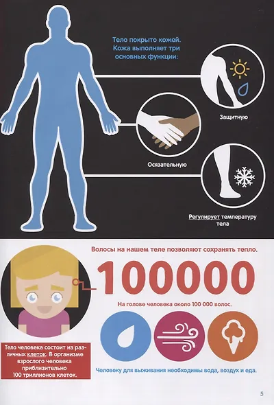 Тело человека. Инфографика - фото 3