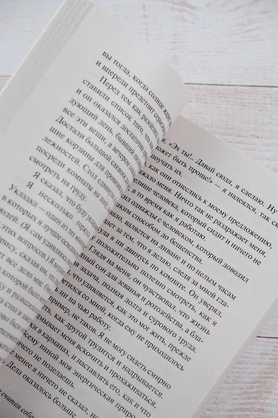 Трое в лодке, не считая собаки - фото 8