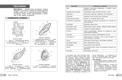 Биология - фото 12