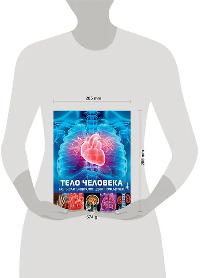 Тело человека - фото 12