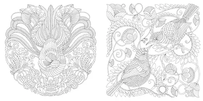 Дивные птицы. Книга для творчества и вдохновения - фото 3