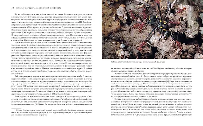 Приключения среди муравьев. Путешествие по земному шару с триллионами суперорганизмов - фото 7