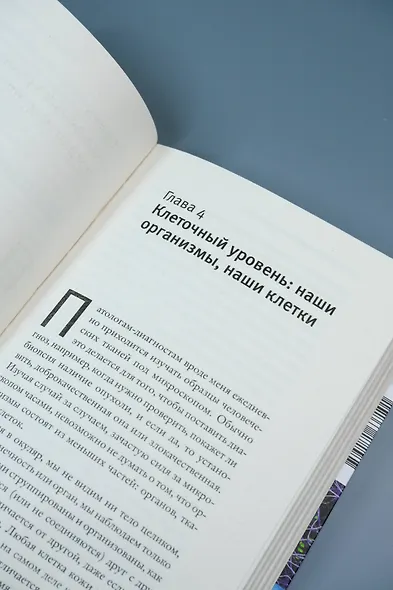 Заметки о сложности - фото 8