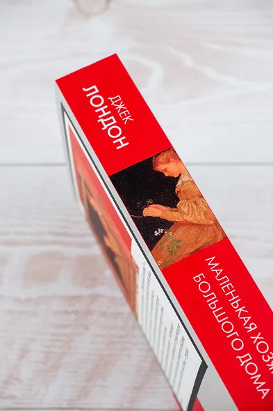 Маленькая хозяйка Большого дома - фото 6