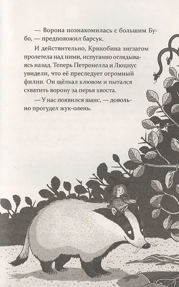 Петронелла и фестиваль волшебников - фото 9