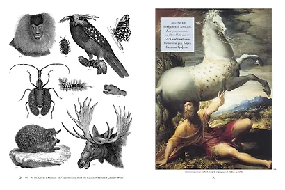 Анималистика. Образы & фантазии - фото 3