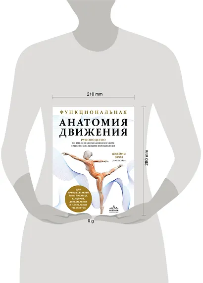 Функциональная анатомия движения. Руководство по анализу биомеханики и работе с миофасциальными меридианами - фото 13
