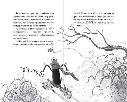 Тайна незнакомца в шляпе - фото 5