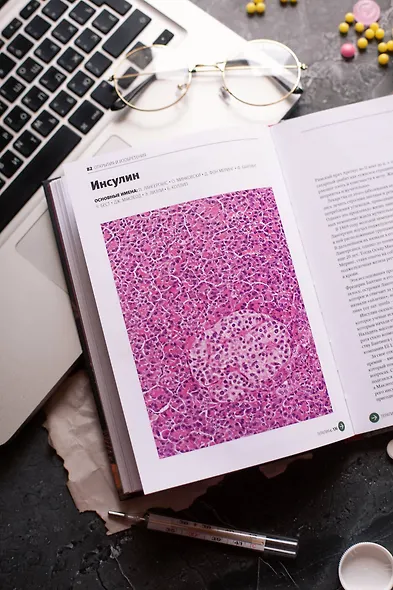 Главное в истории медицины. Хронология, врачи, ученые, открытия. От операций майя до искусственного - фото 13