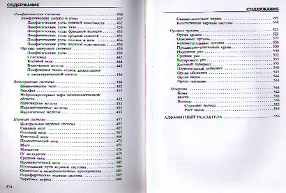 Атлас анатомии человека . 2-е издание дополненное и переработанное - фото 4