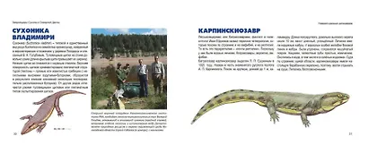 Звероящеры Сухоны и Северной Двины - фото 4