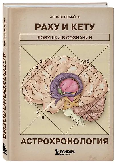 Астрохронология. Раху и Кету: ловушки в сознании - фото 3