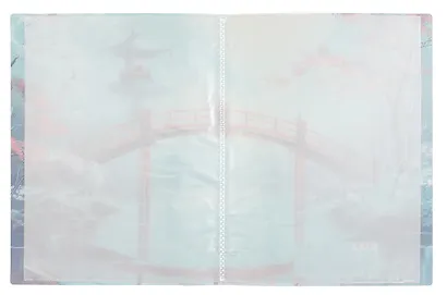 Папка 20 файлов А4 "Азия" - фото 4