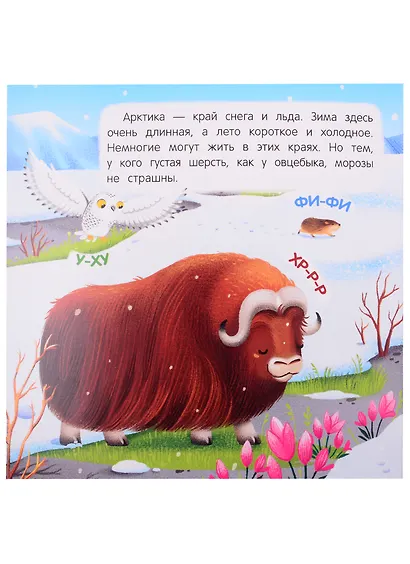 В холодных краях. Книжка-гармошка - фото 3