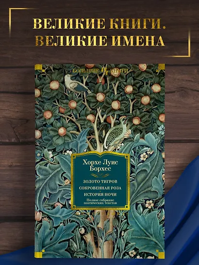 Золото тигров. Сокровенная роза. История ночи. Полное собрание поэтических текстов - фото 4