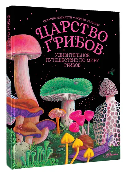 Царство грибов - фото 3