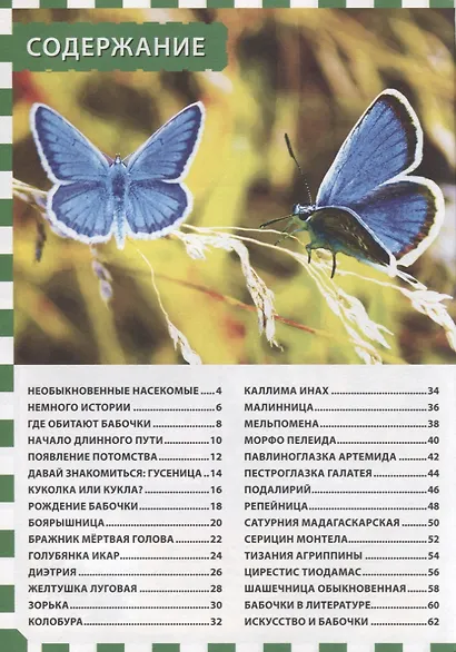 Бабочки. Первая энциклопедия для детей - фото 2