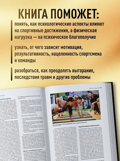 Психология спорта. Фундаментальные основы - фото 6